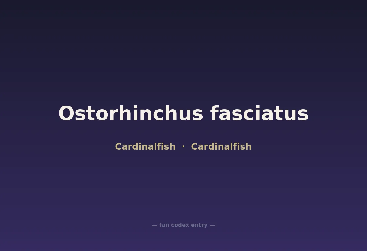 Ostorhinchus fasciatus