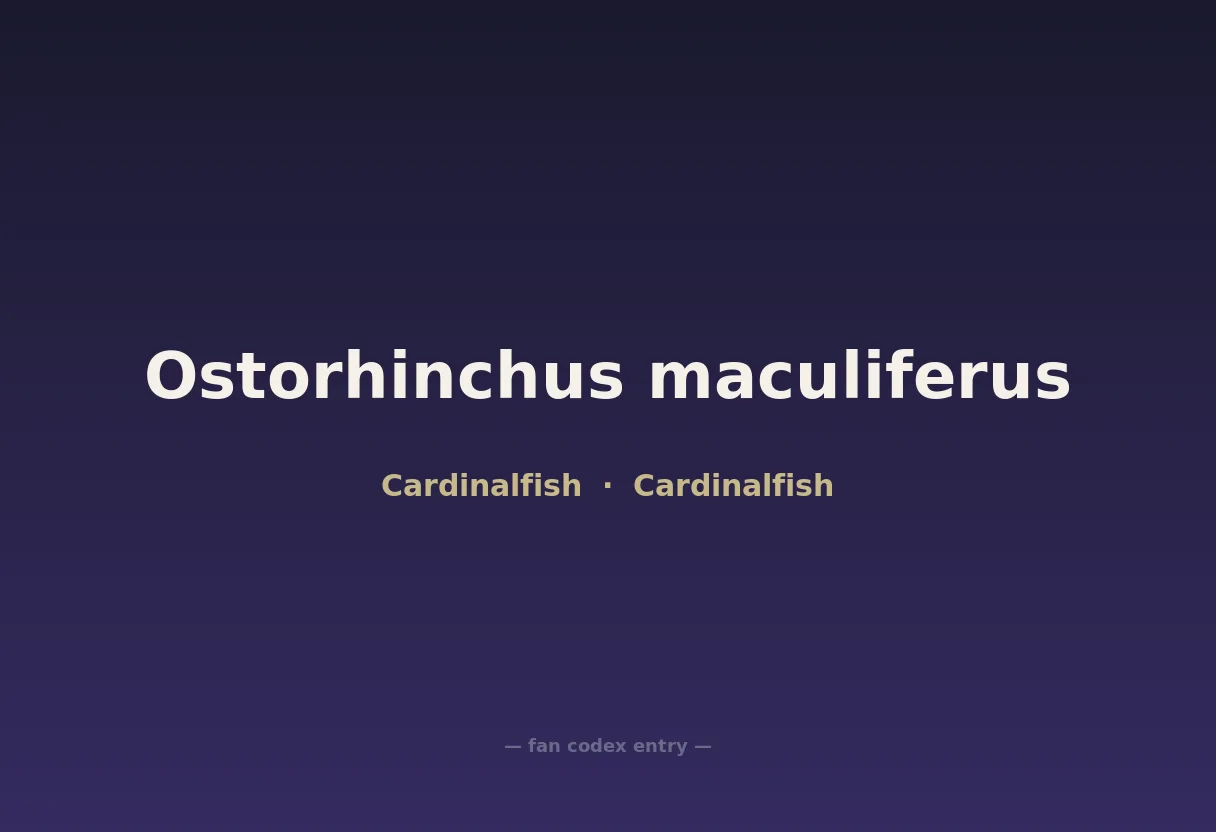 Ostorhinchus maculiferus