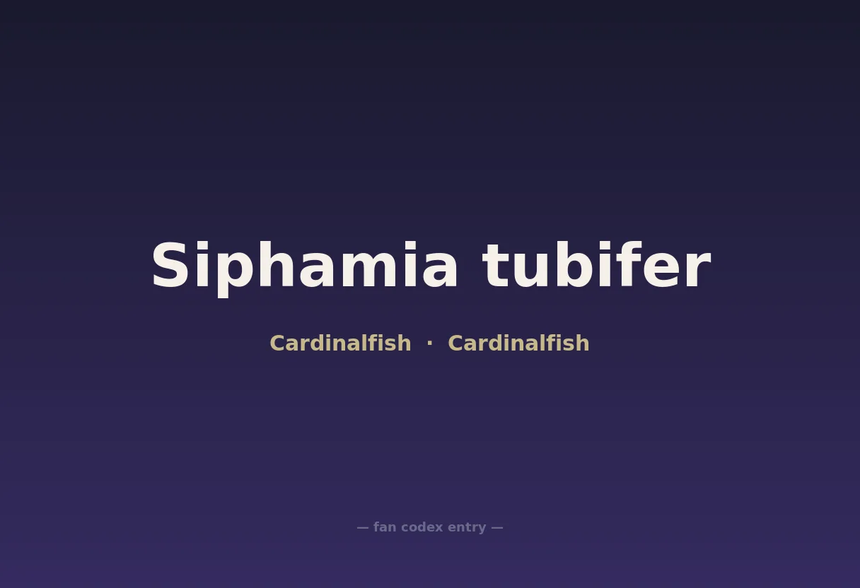 Siphamia tubifer