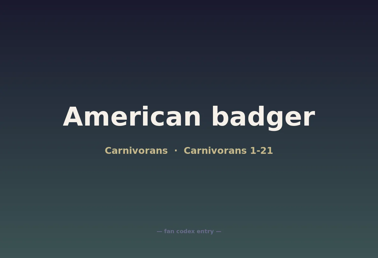 American badger