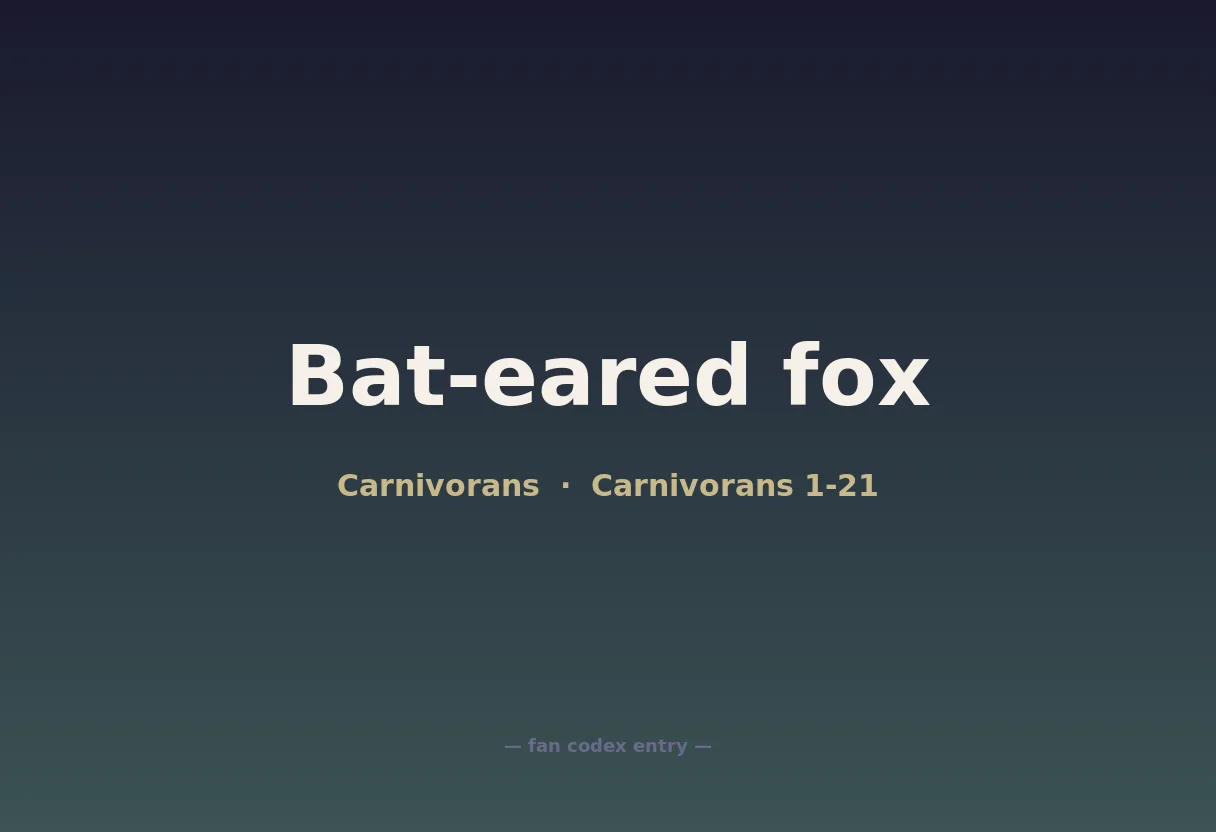 Bat-eared fox