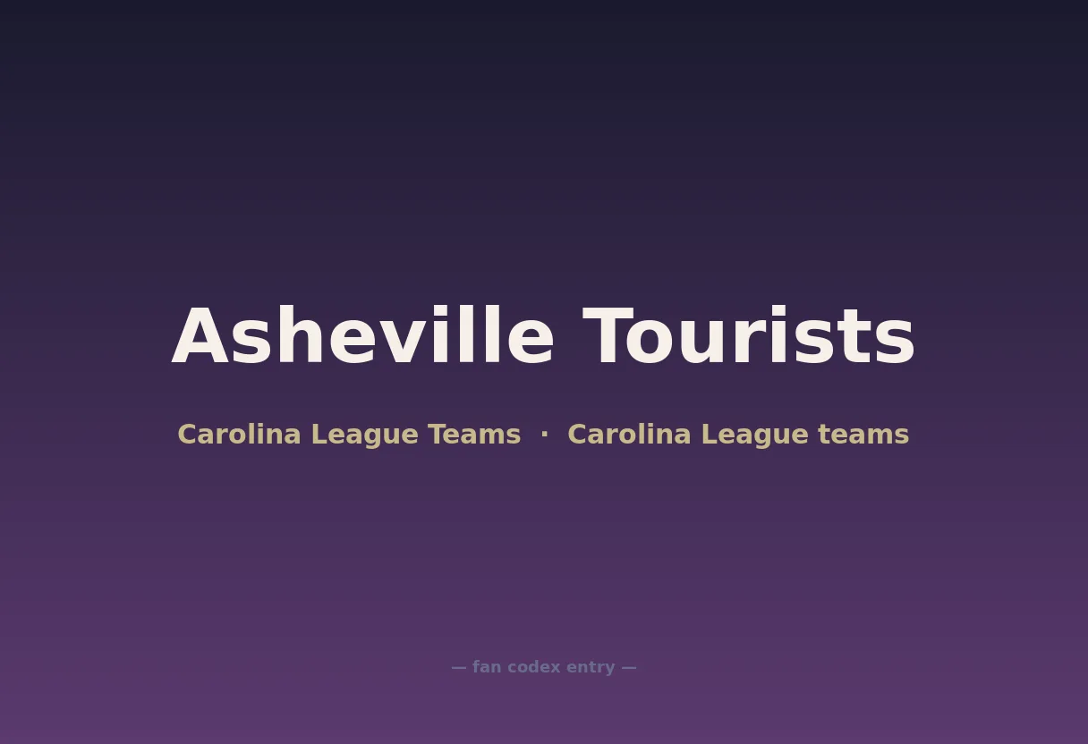 Asheville Tourists
