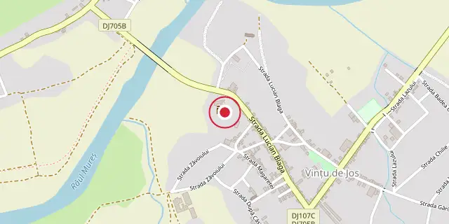 Street map of the area around Martinuzzi Castle; the red dot marks 45°59′49″N 23°28′44″E