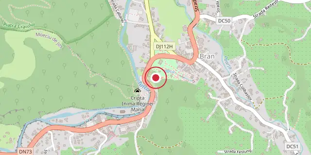 Street map of the area around Bran Castle; the red dot marks 45°30′54″N 25°22′01″E