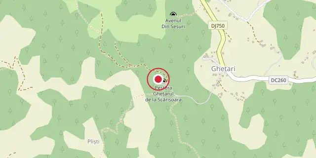 Street map of the area around Scărișoara Cave; the red dot marks 46°29′24″N 22°48′36″E