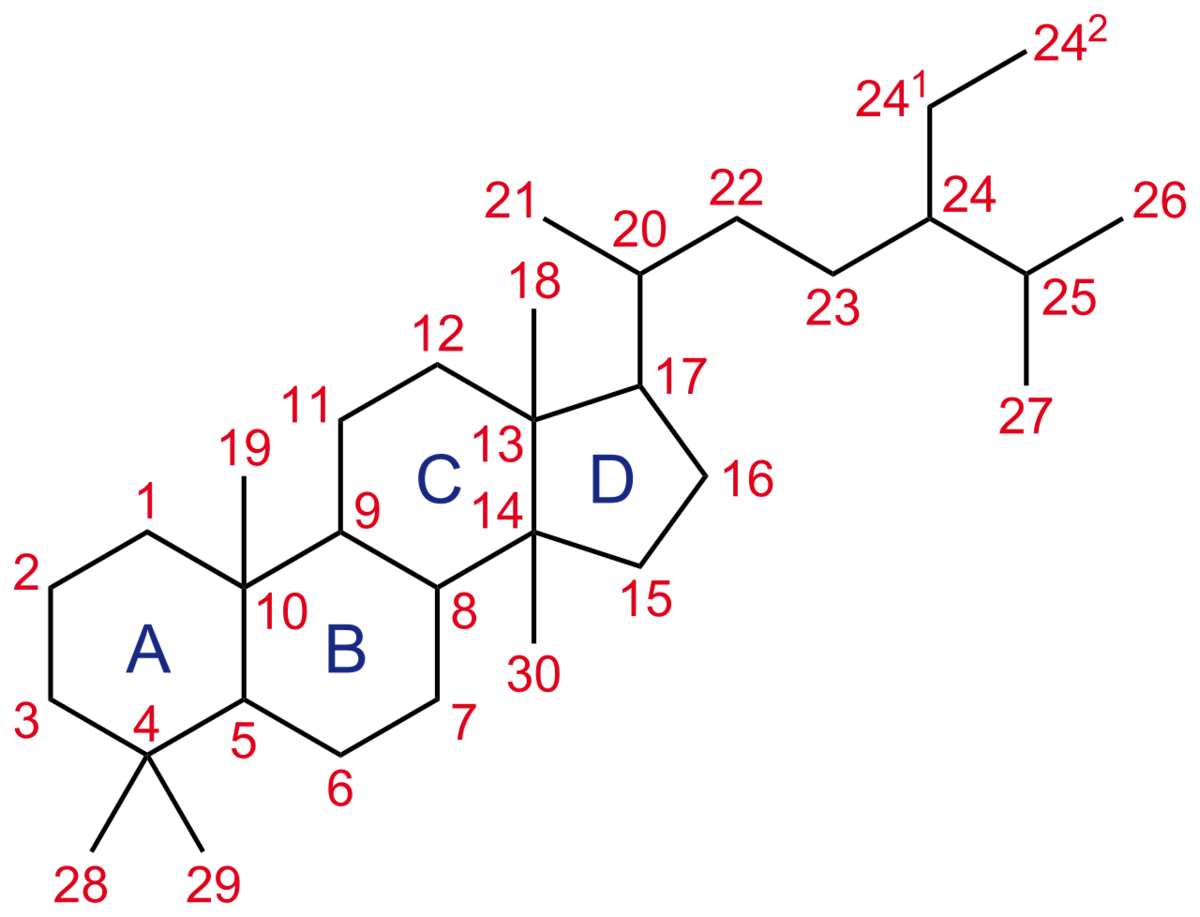 Steroid