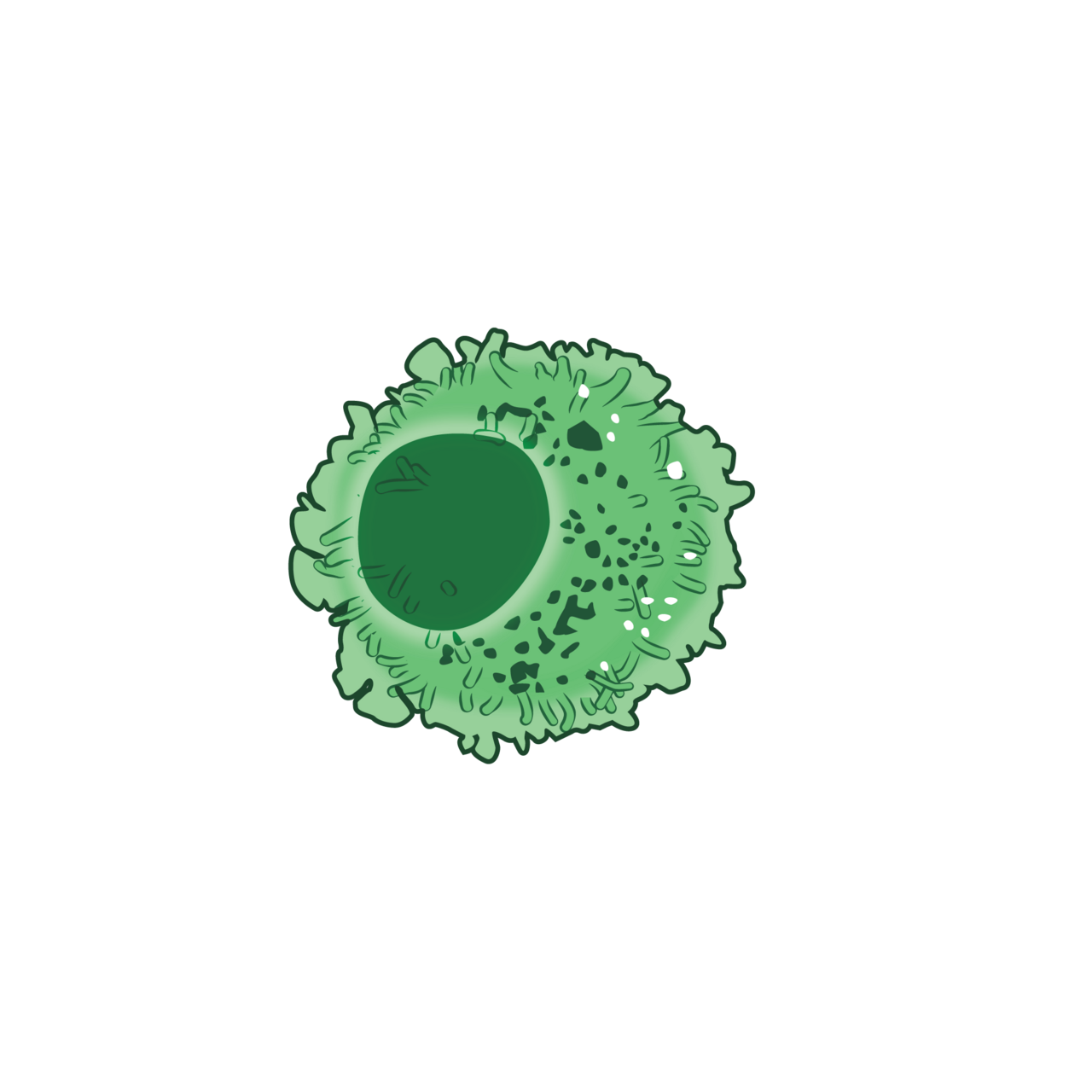 Mast cell