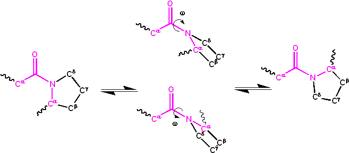 Peptide