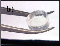 Peptide
