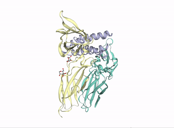 Receptor (biochemistry)