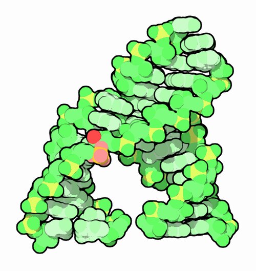 RNA splicing