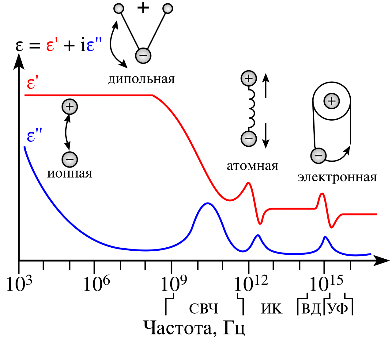 Dielectric spectroscopy