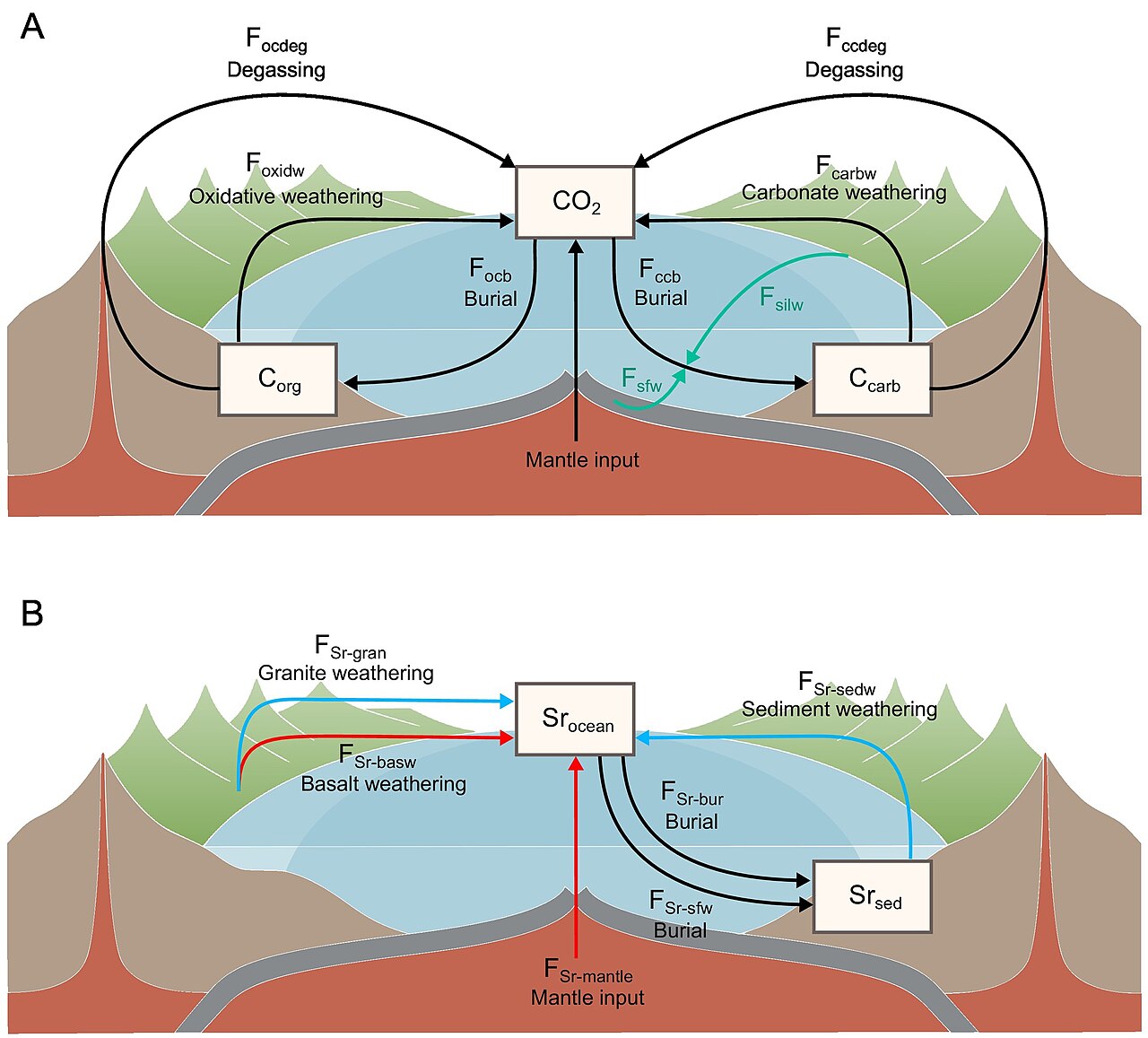 Long-term carbon and strontium cycles