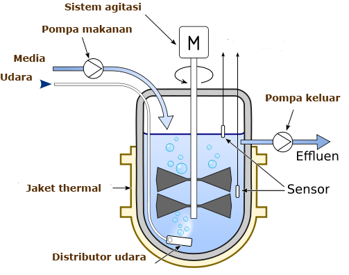 Continuous stirred-tank reactor