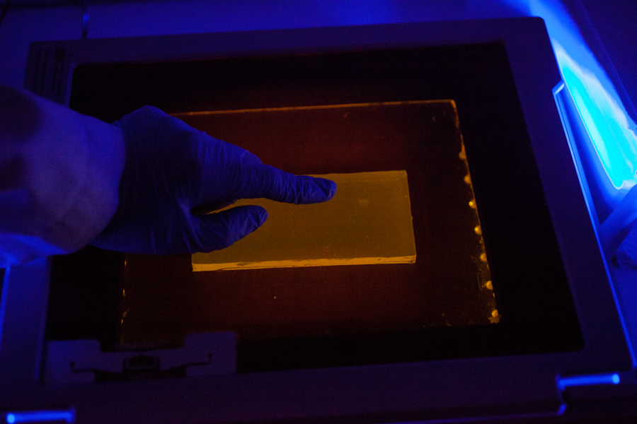 Electrophoresis