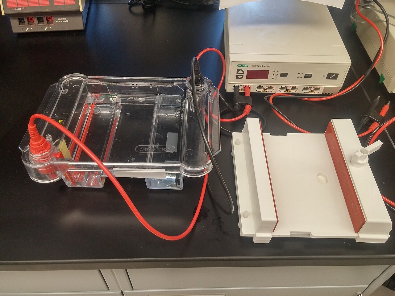 Electrophoresis