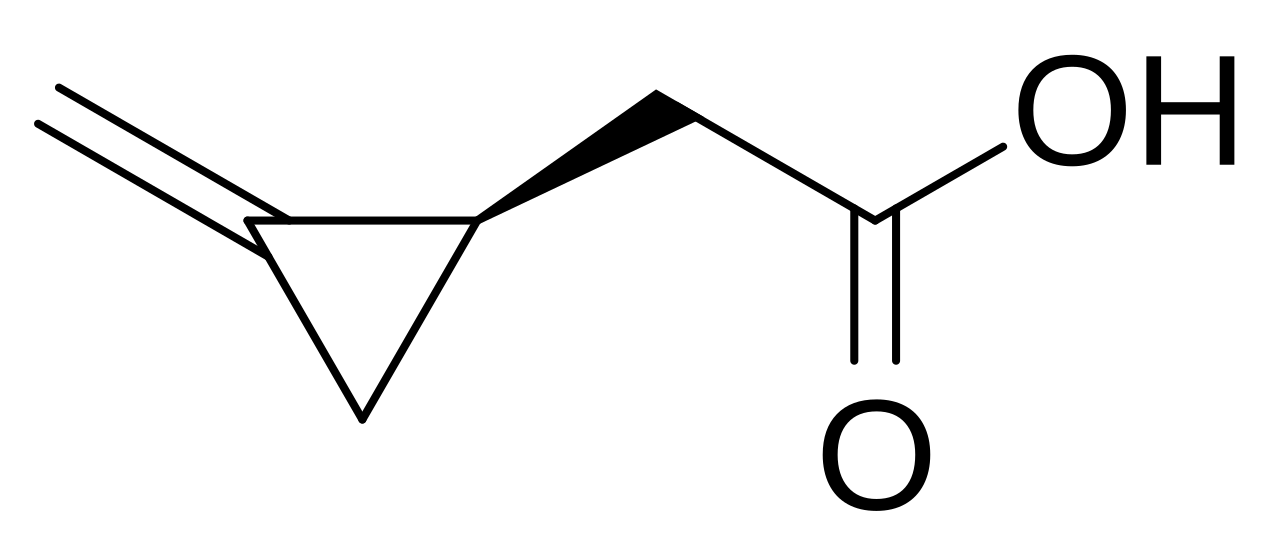 (R)-Methylene cyclopropyl acetic acid