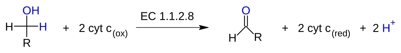 Alcohol dehydorgenase (cytochrome c)