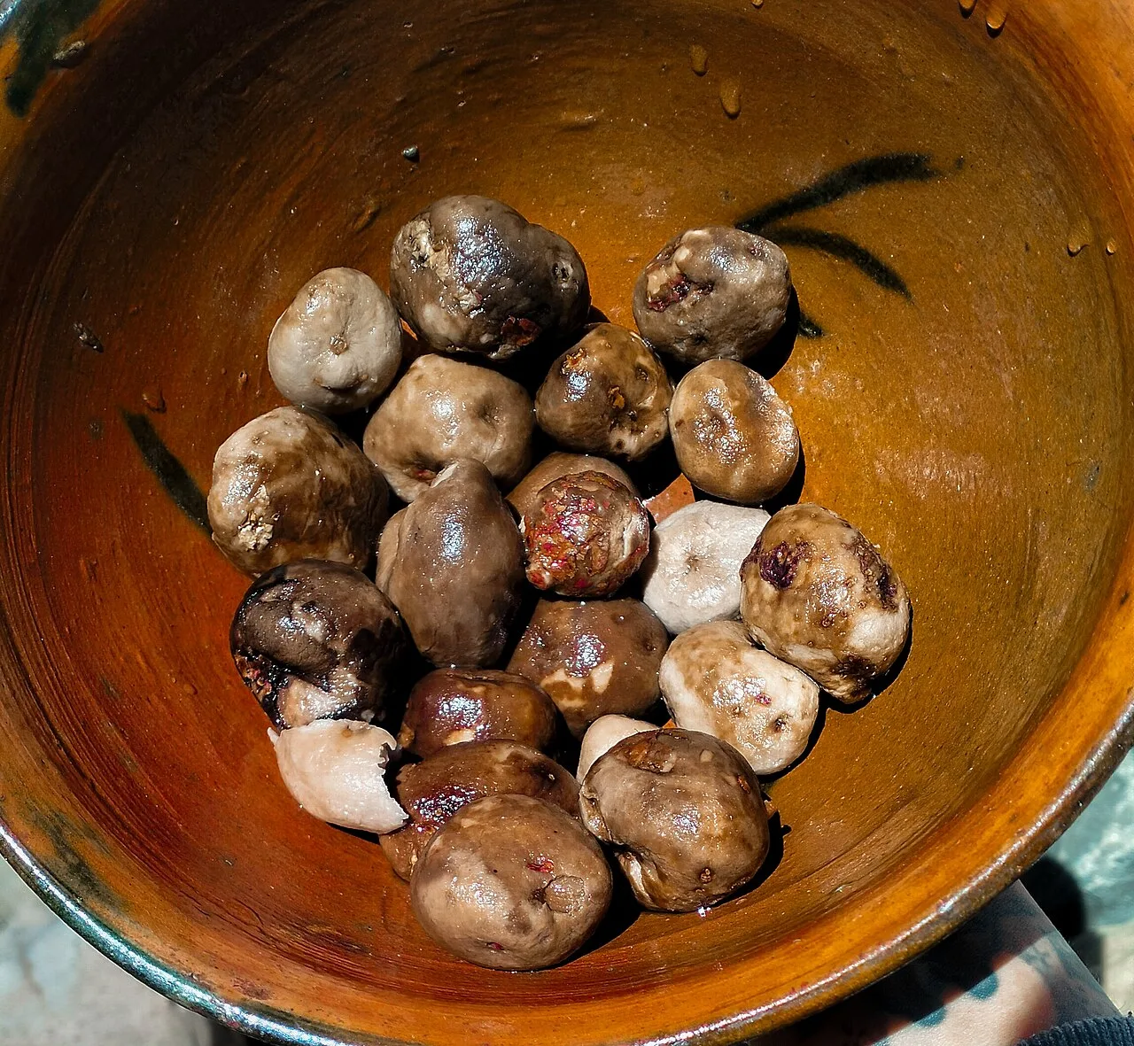 Chuño