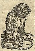 The Monkey King 3