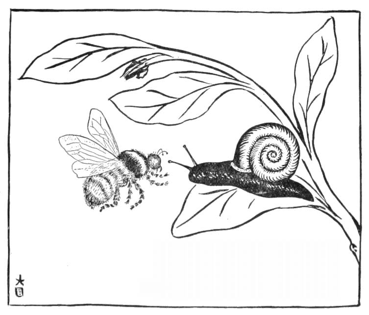 Chinese Fables and Folk Stories