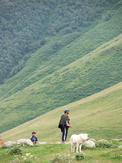 The Cowherd and the Weaver Girl