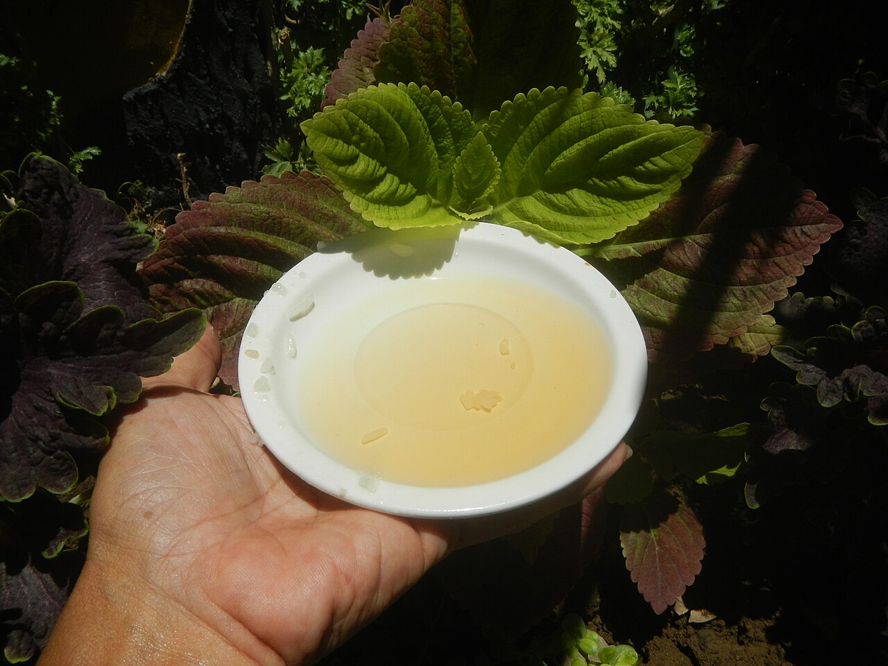 0092Heinz Apple Cider Vinegar