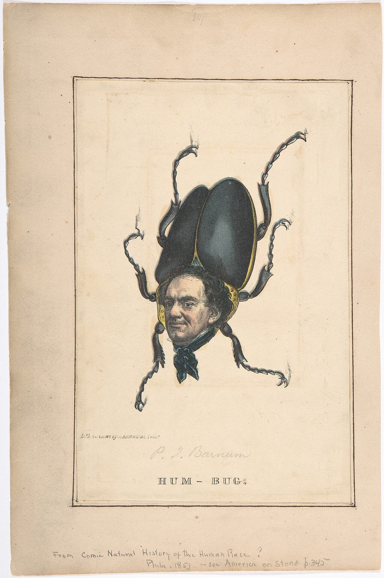 Hum-Bug (P. T. Barnum), from the Comic Natural History of the Human Race MET DP808187