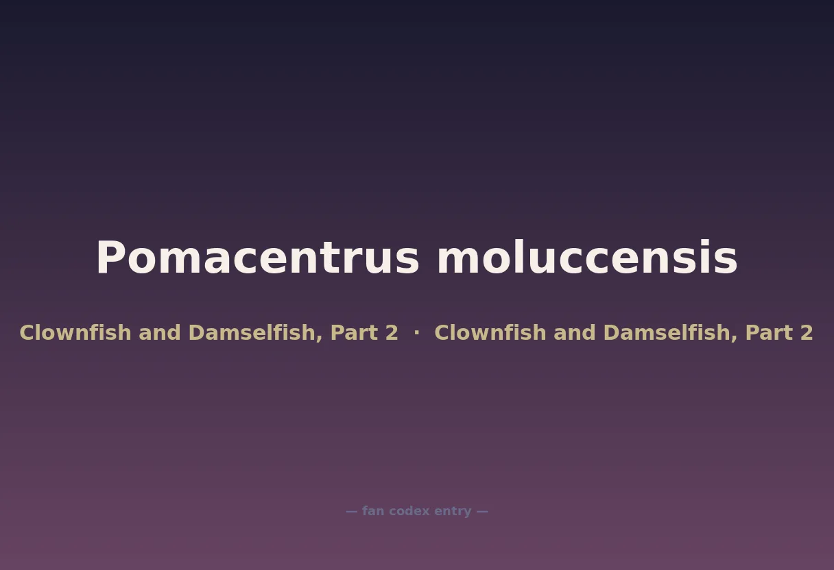 Pomacentrus moluccensis