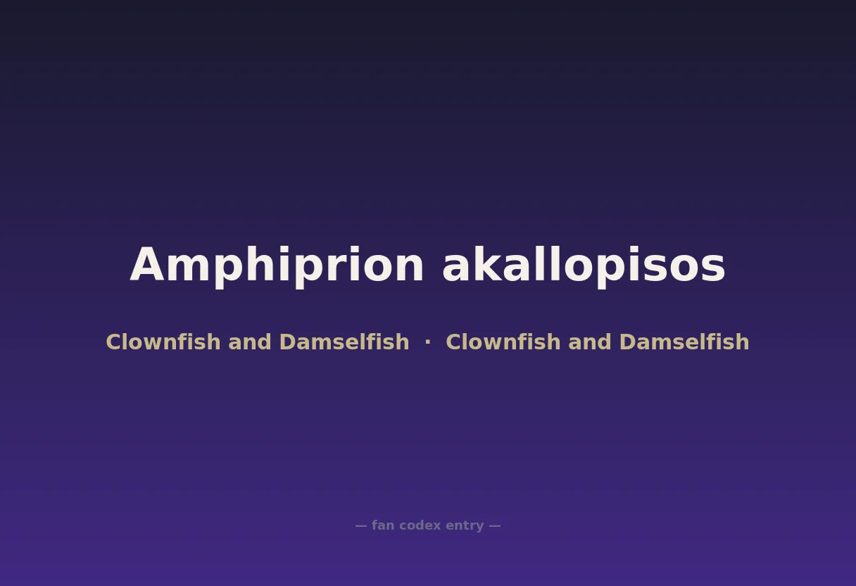 Amphiprion akallopisos