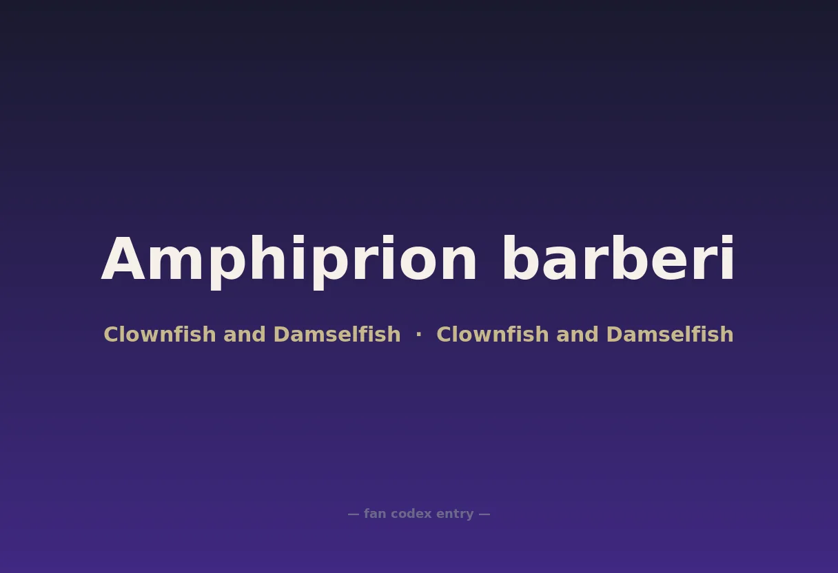 Amphiprion barberi