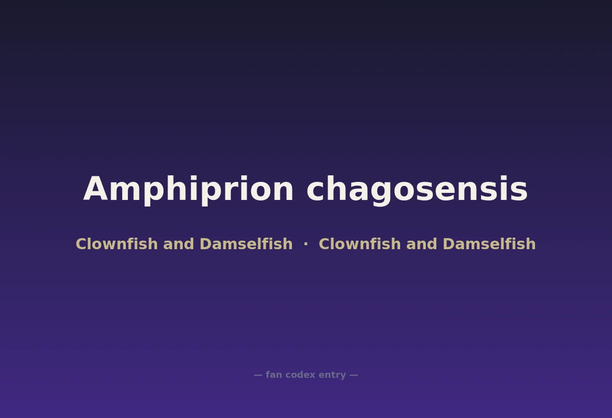 Amphiprion chagosensis