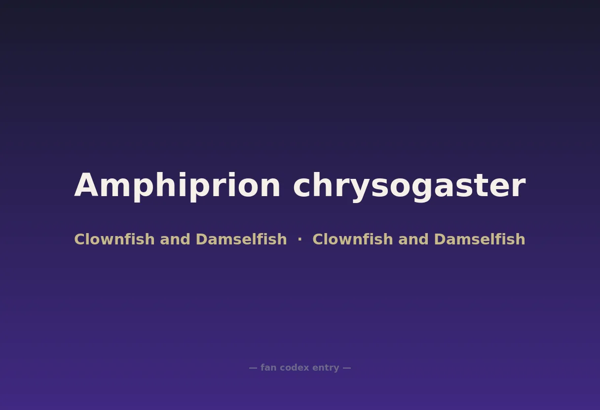 Amphiprion chrysogaster