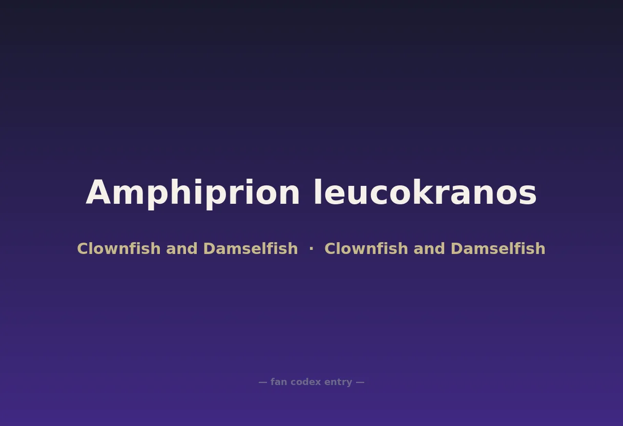 Amphiprion leucokranos