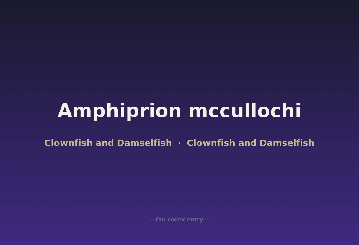 Amphiprion mccullochi