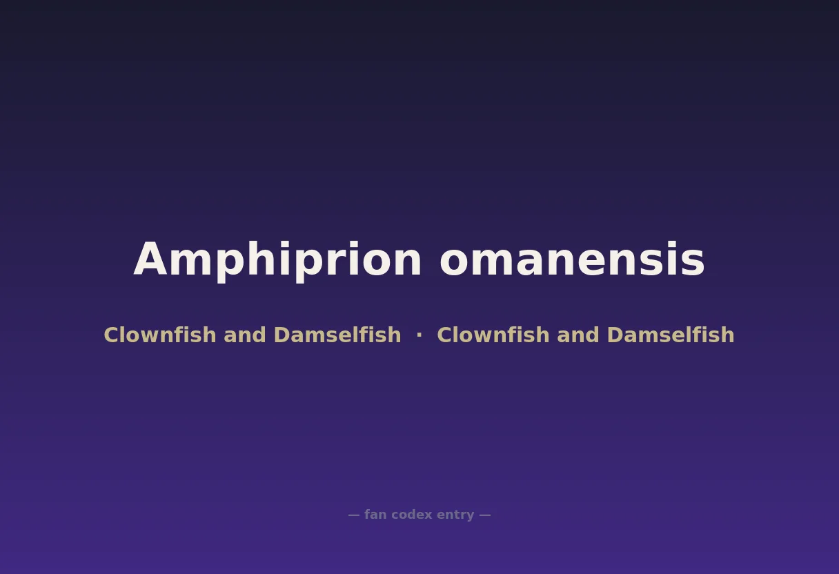 Amphiprion omanensis
