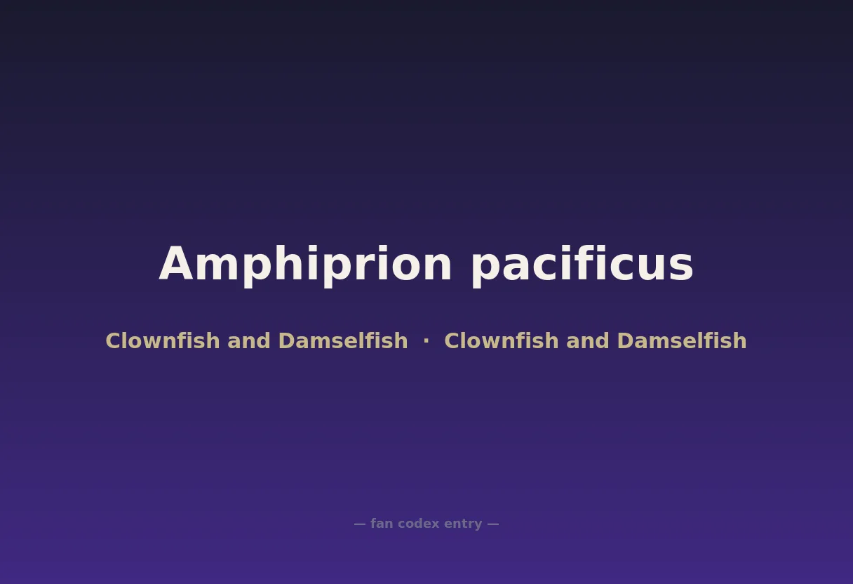 Amphiprion pacificus