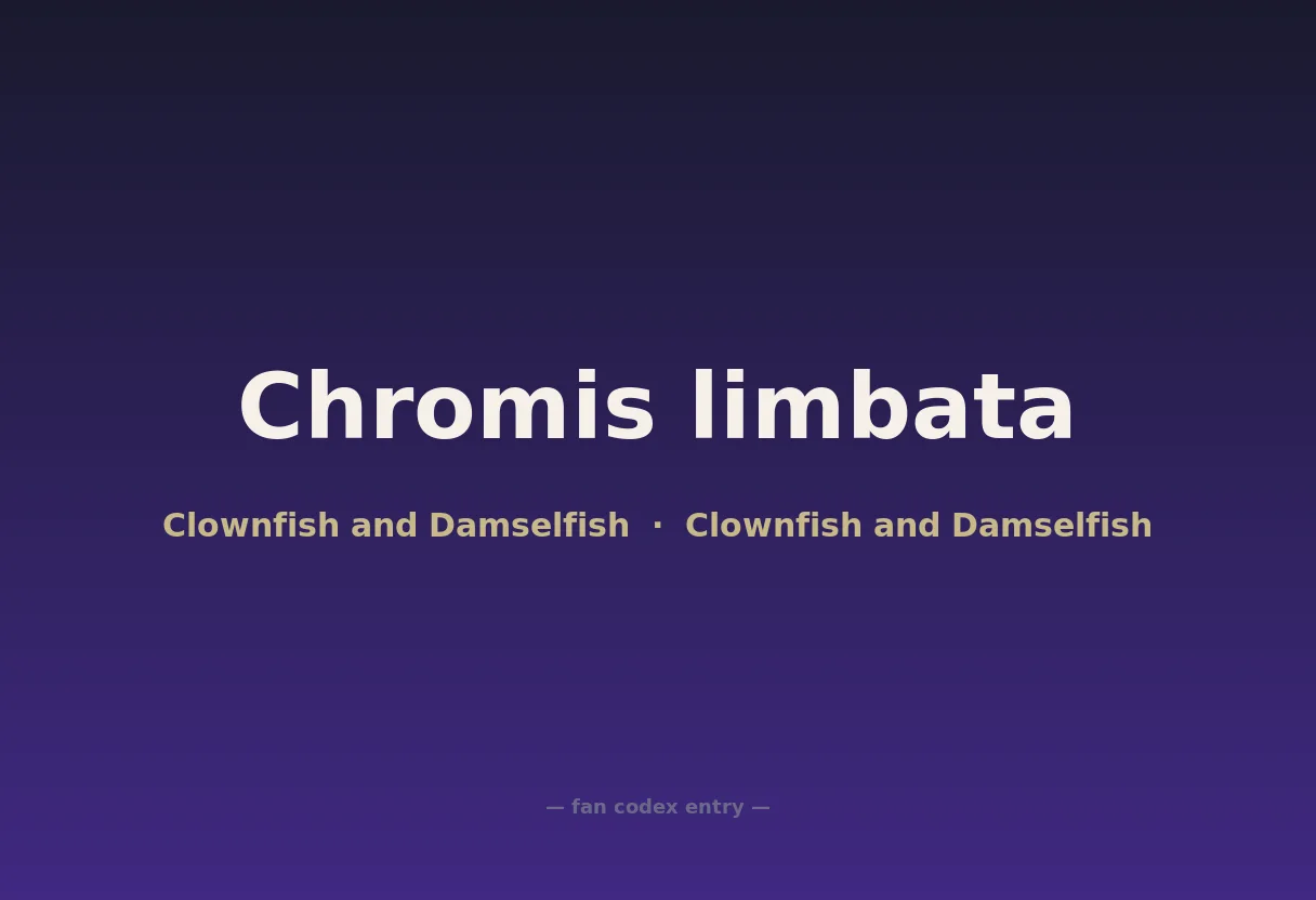 Chromis limbata
