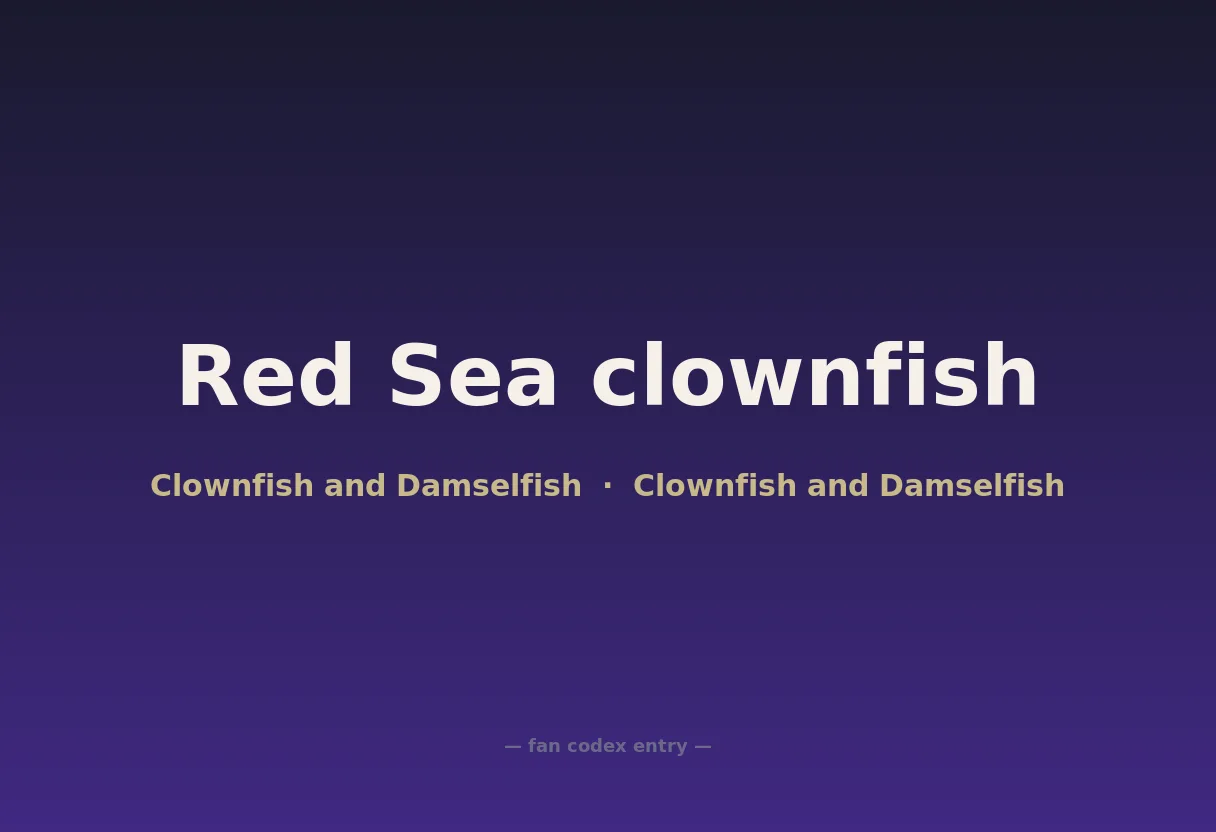 Red Sea clownfish