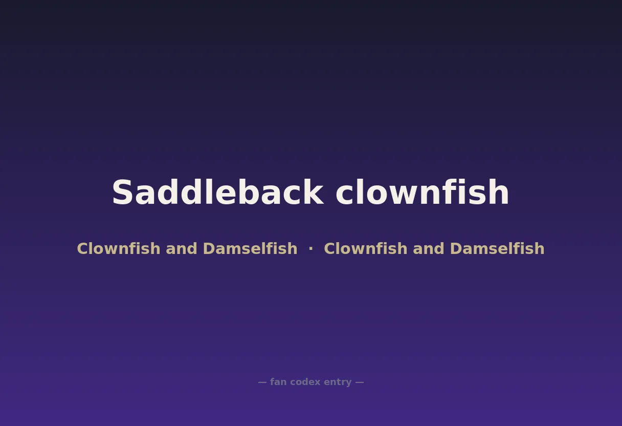 Saddleback clownfish