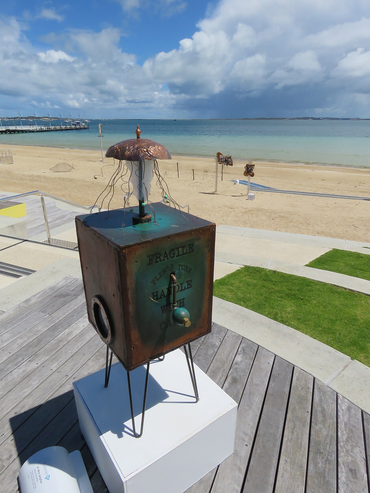 Box jellyfish