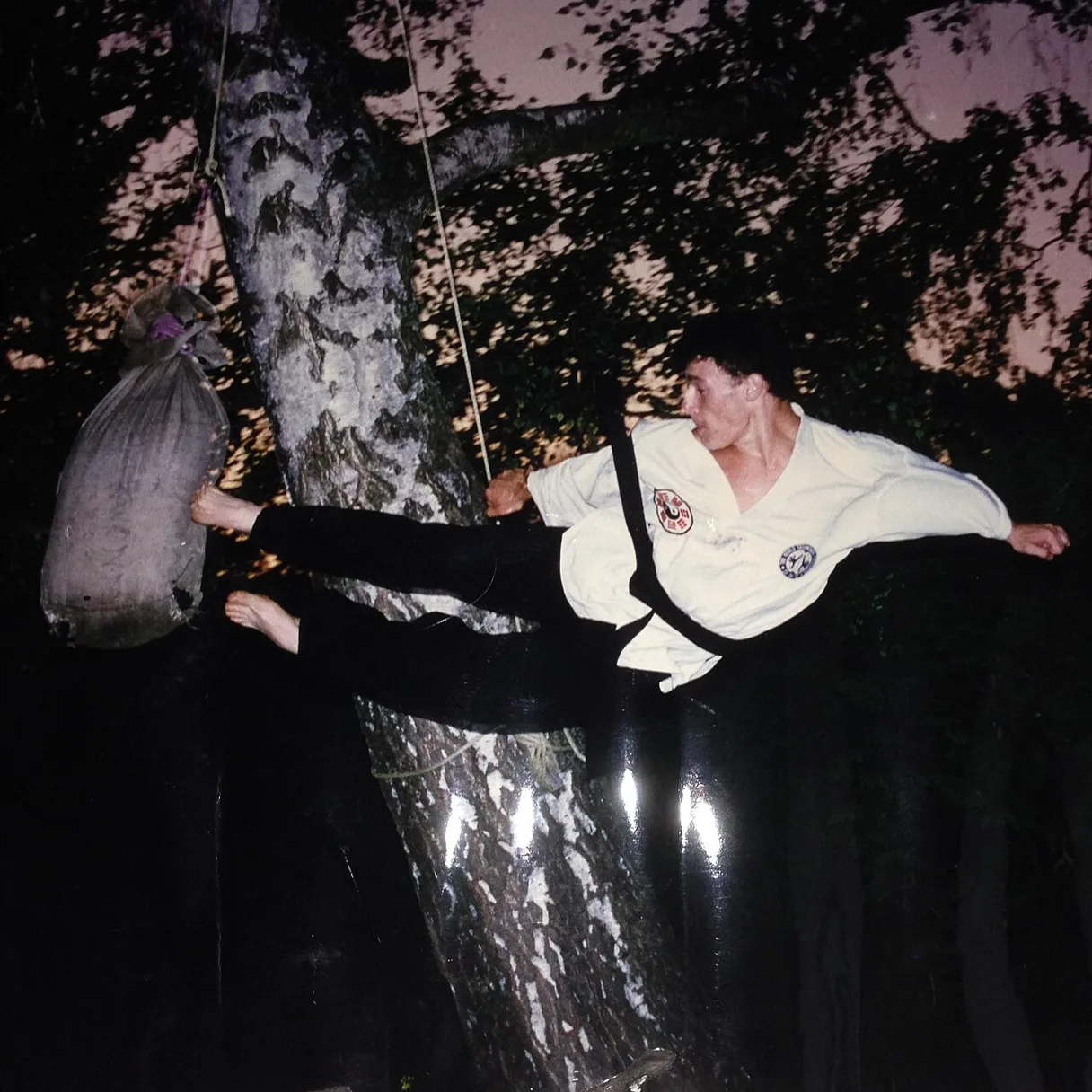 Crane Kick