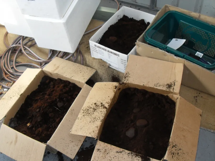 Used coffee grounds