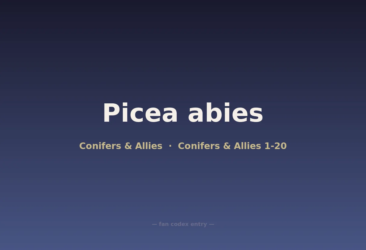 Picea abies