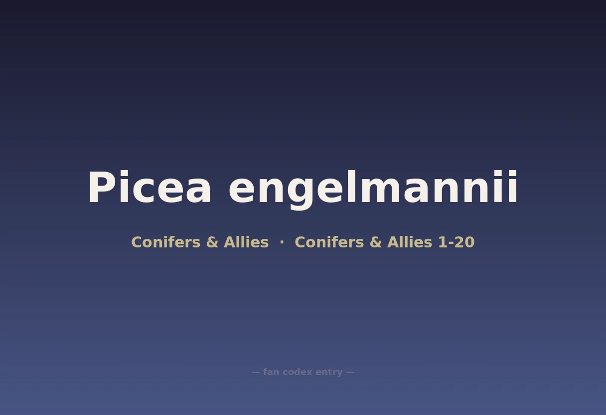 Picea engelmannii