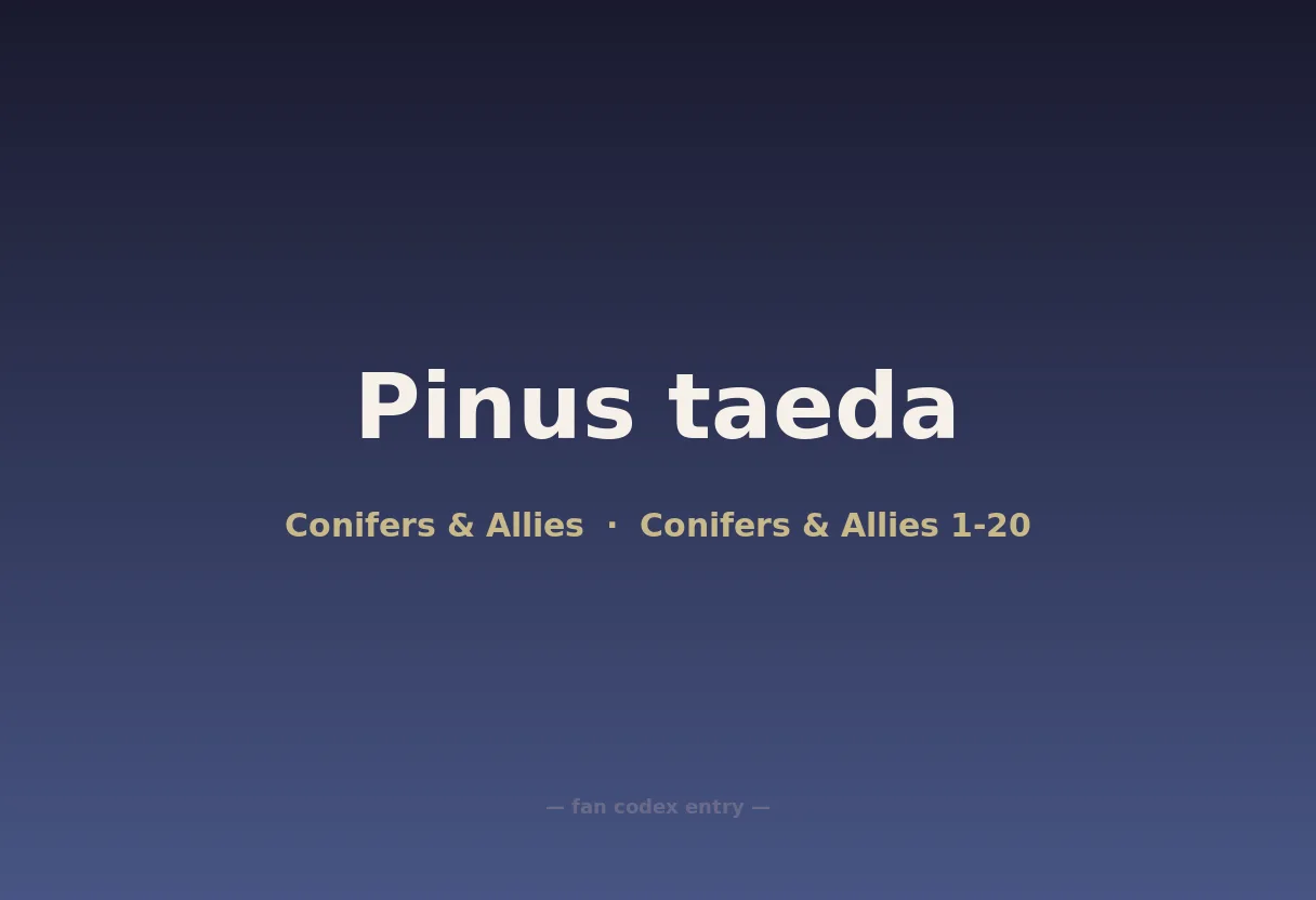Pinus taeda