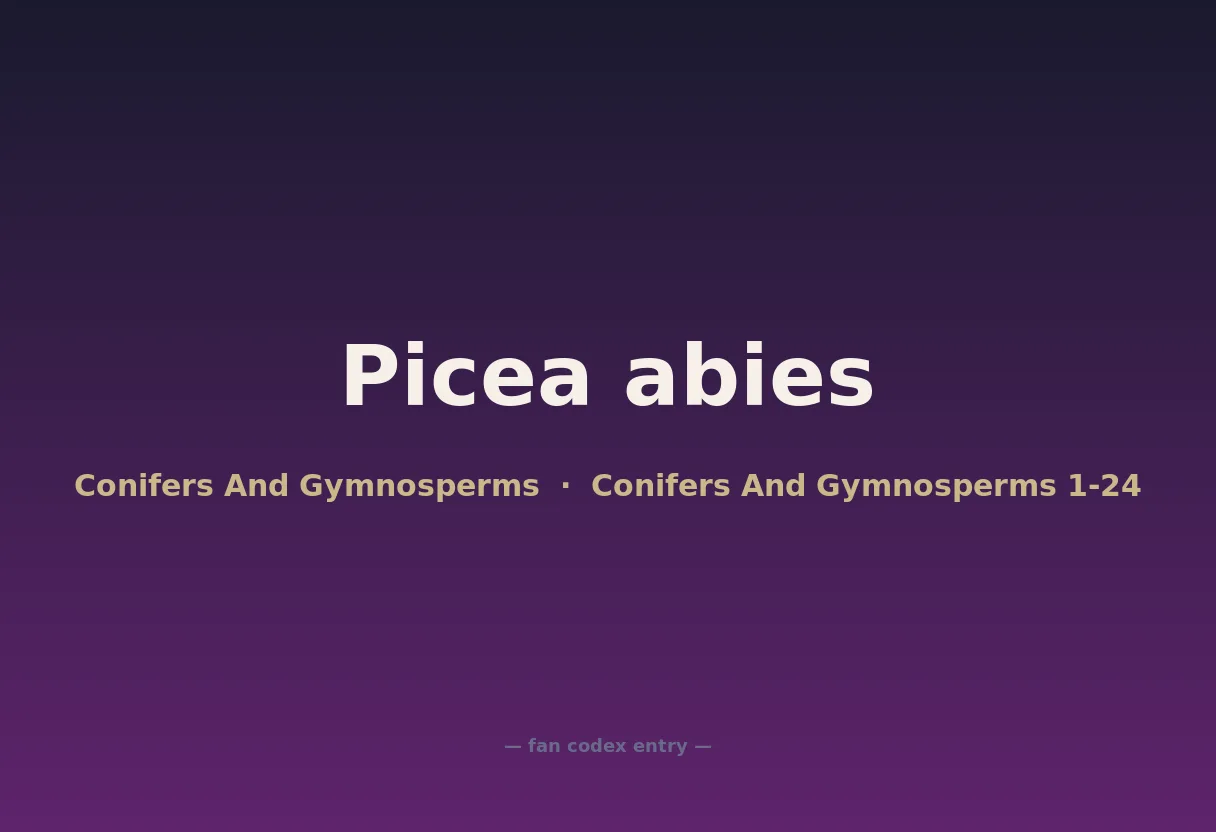 Picea abies