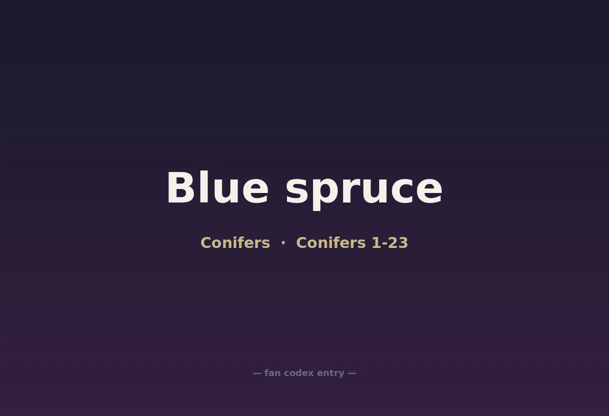Blue spruce