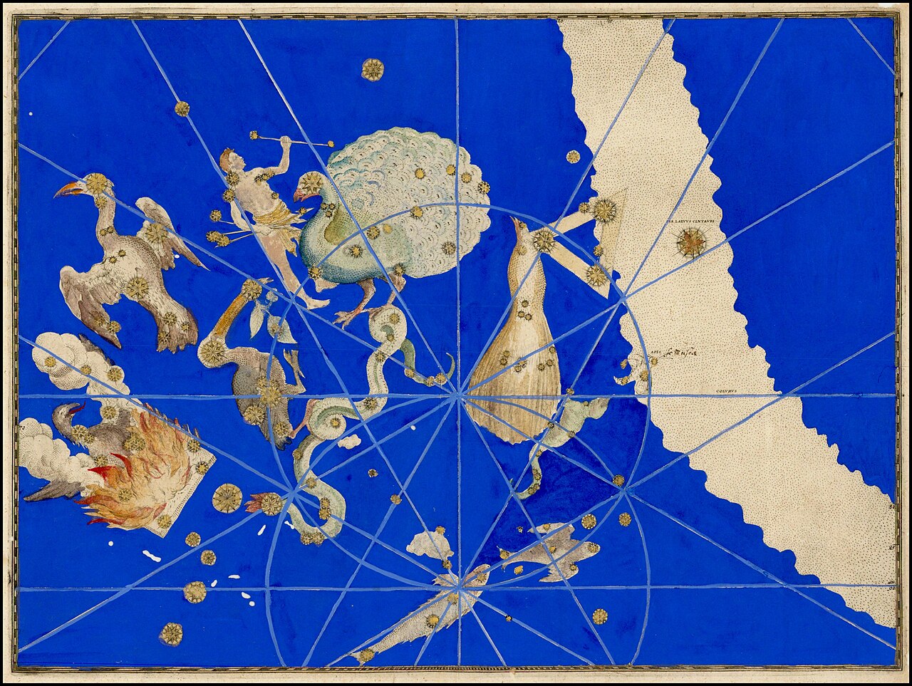 Pavo (constellation)