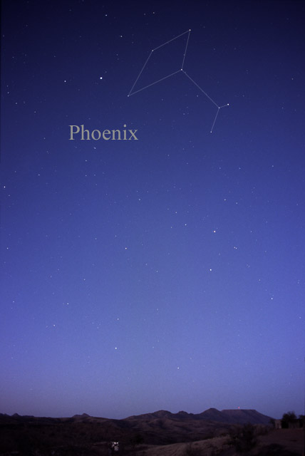 Phoenix (constellation)